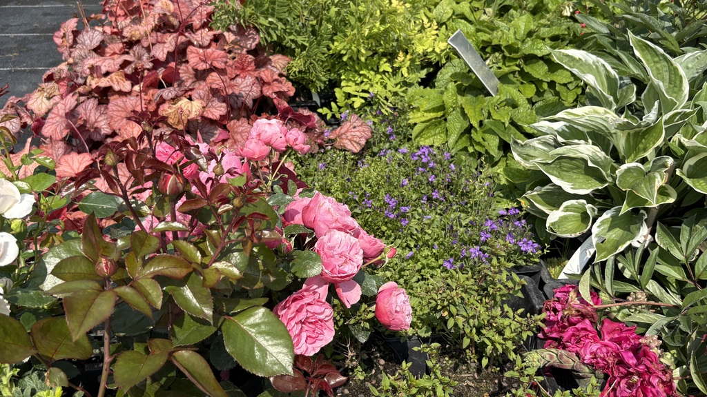 Erfahrung. Qualität. Handschlag-Mentalität.