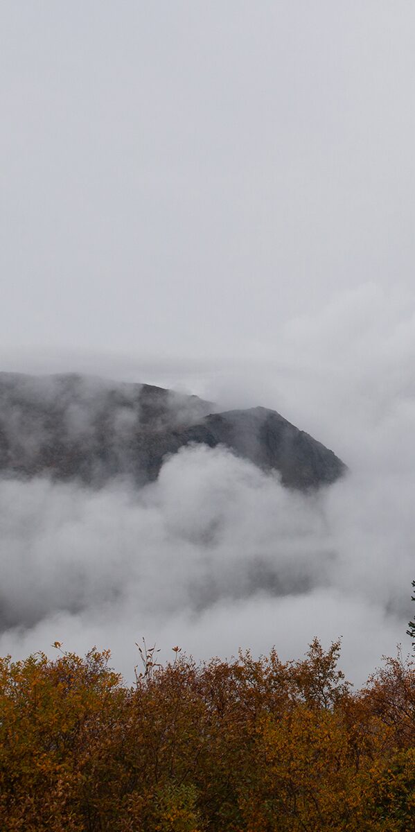 skyer over dønnamannen