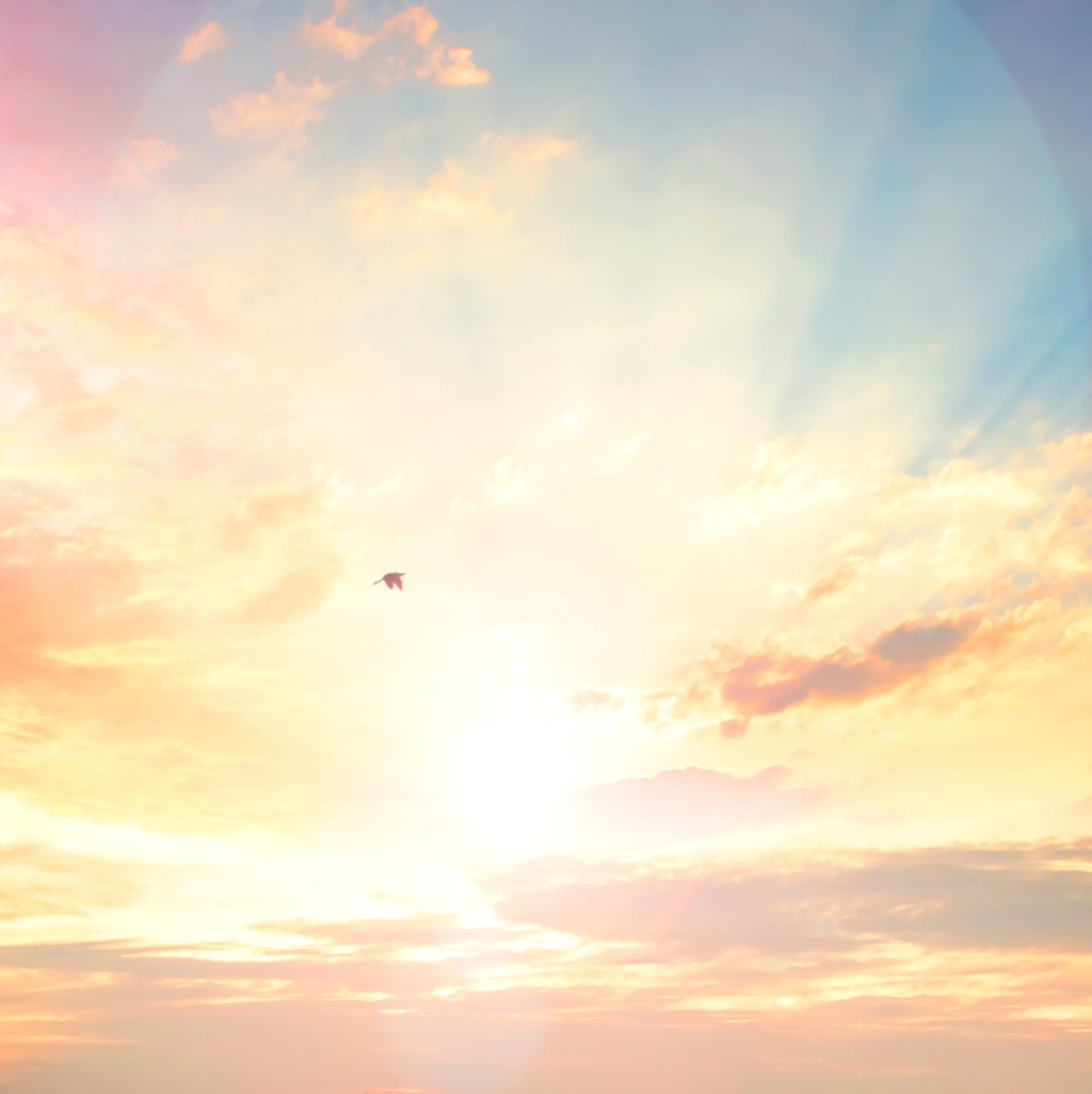 Anonyme Bestattung im Wald in München