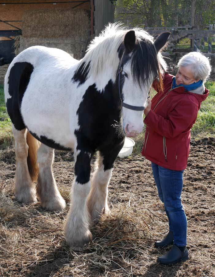 Anne Janzen im Gespräch mit ihrer Tinkerstute Amy