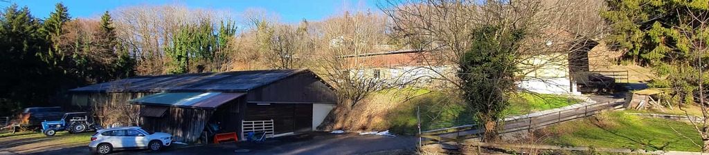 Pensionstall Honegg - Stallgebäude mit Weiden und Parkplatz