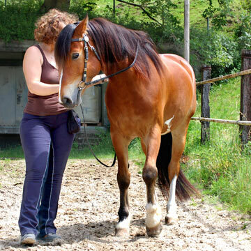 Training vom Boden - Handarbeit