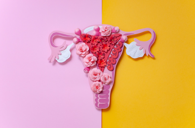 Ursachen Kinderlosigkeit Heilpraktiker