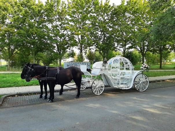 Planwagenfahrten und Hochzeitskutschen Döbbe