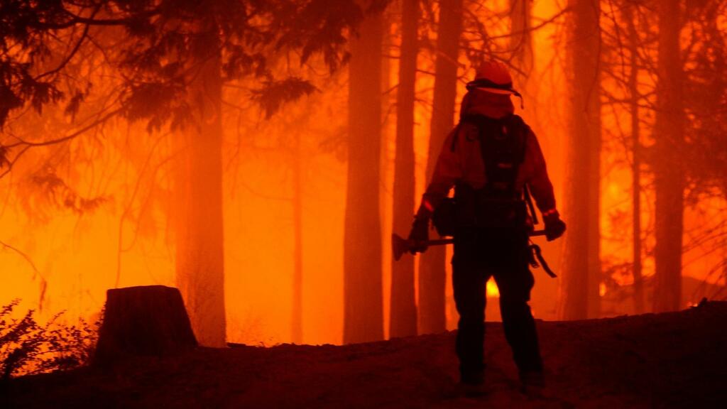 Waldbränden durch intelligente Sensorik vorbeugen oder schnell bekämpfen