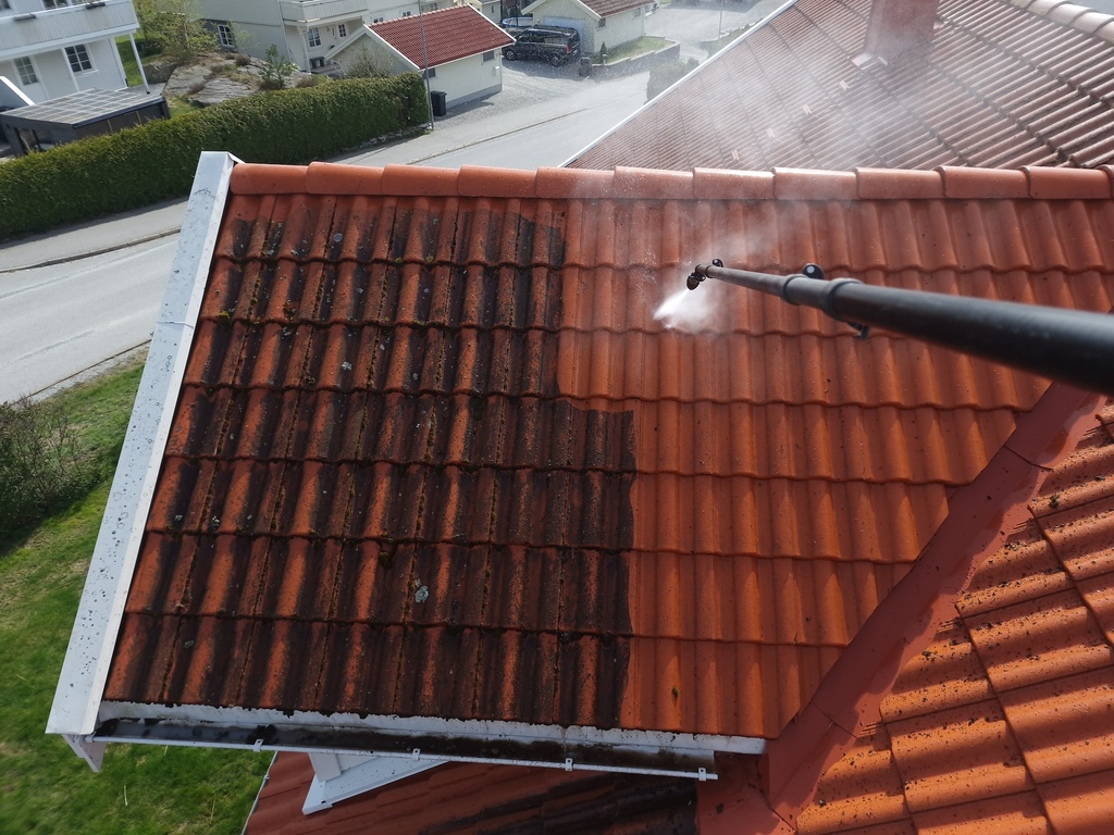 Dachreinigung Dachbeschichtung Berlin Brandenburg Potsdam
