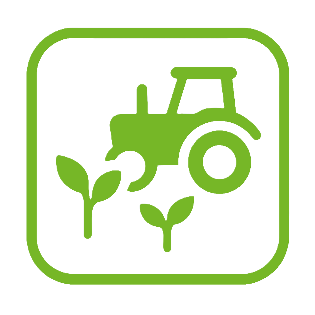 Solvedere Projektentwicklung