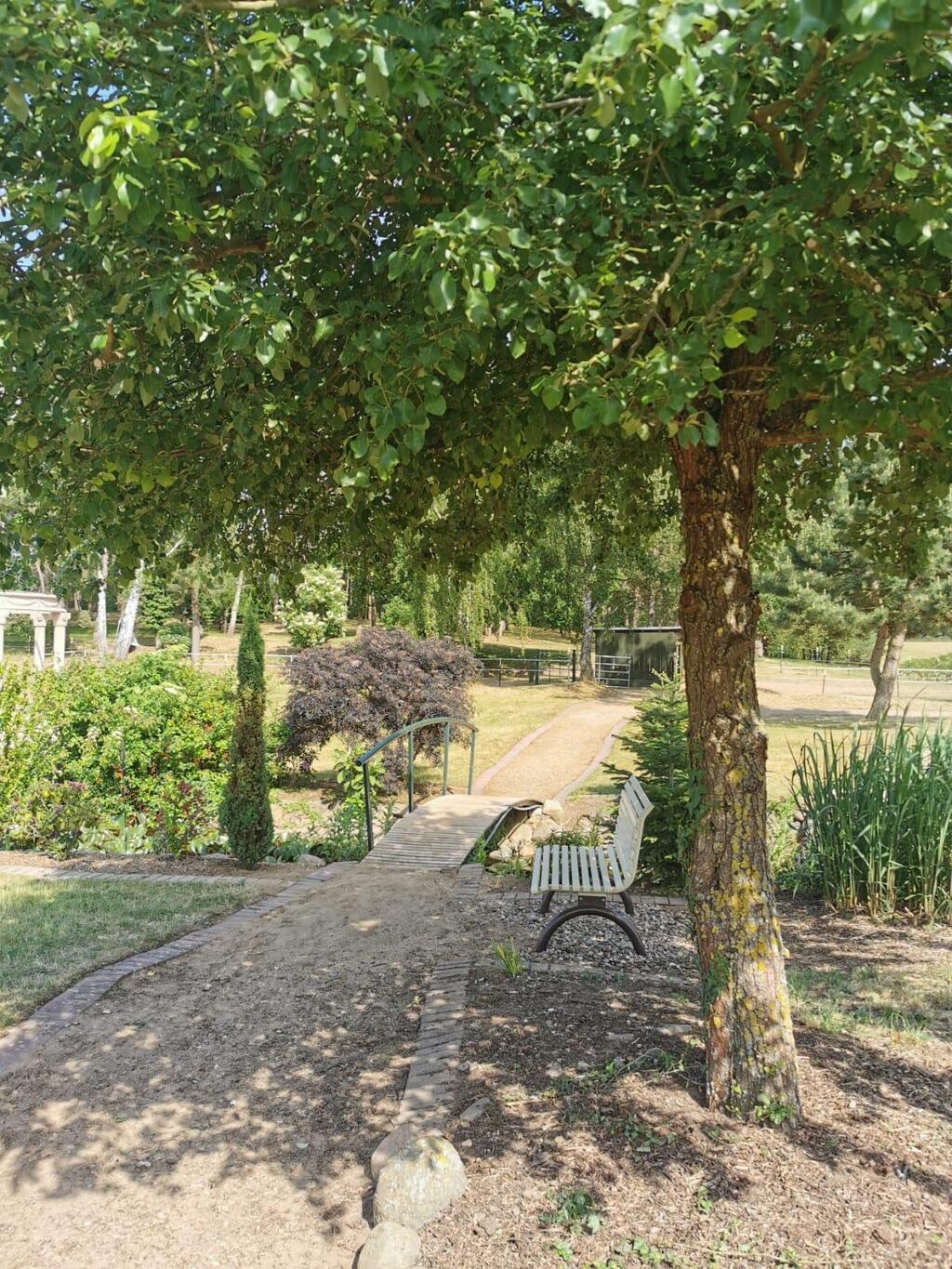 Borstel Treff - Bett