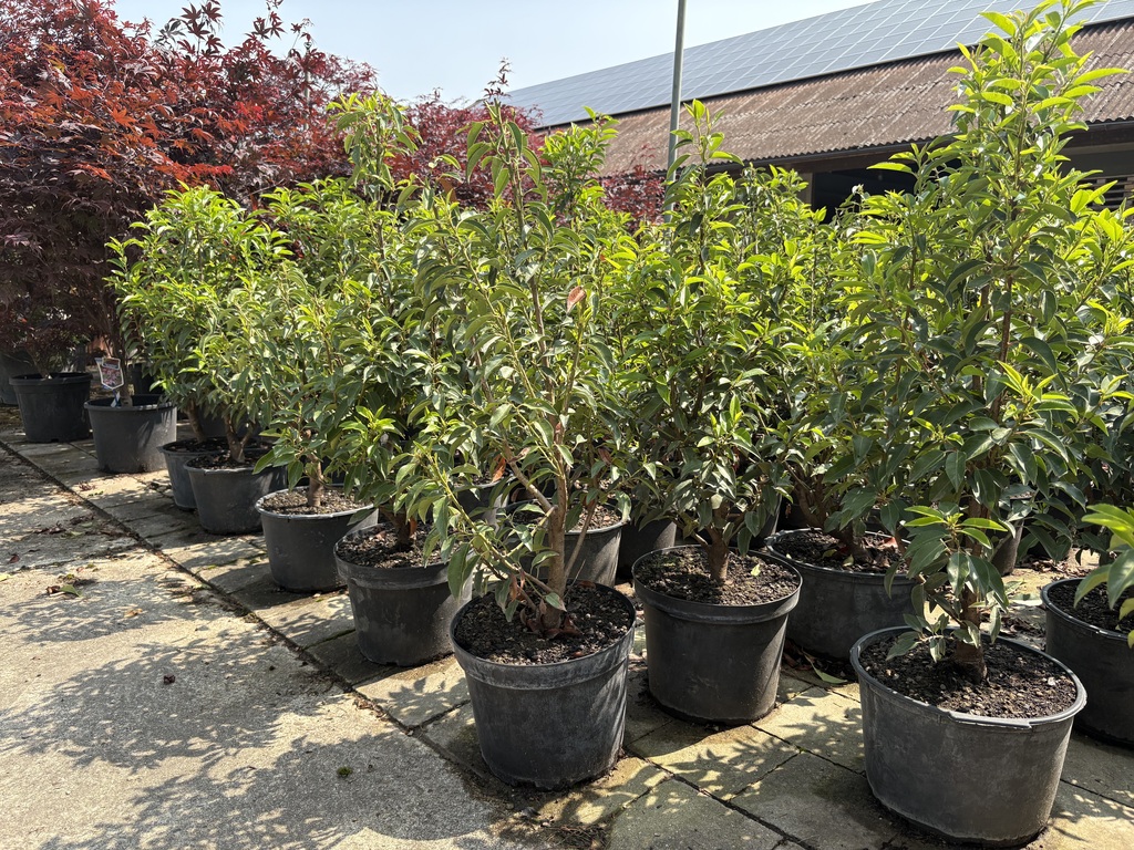 Erfahrung. Qualität. Handschlag-Mentalität.