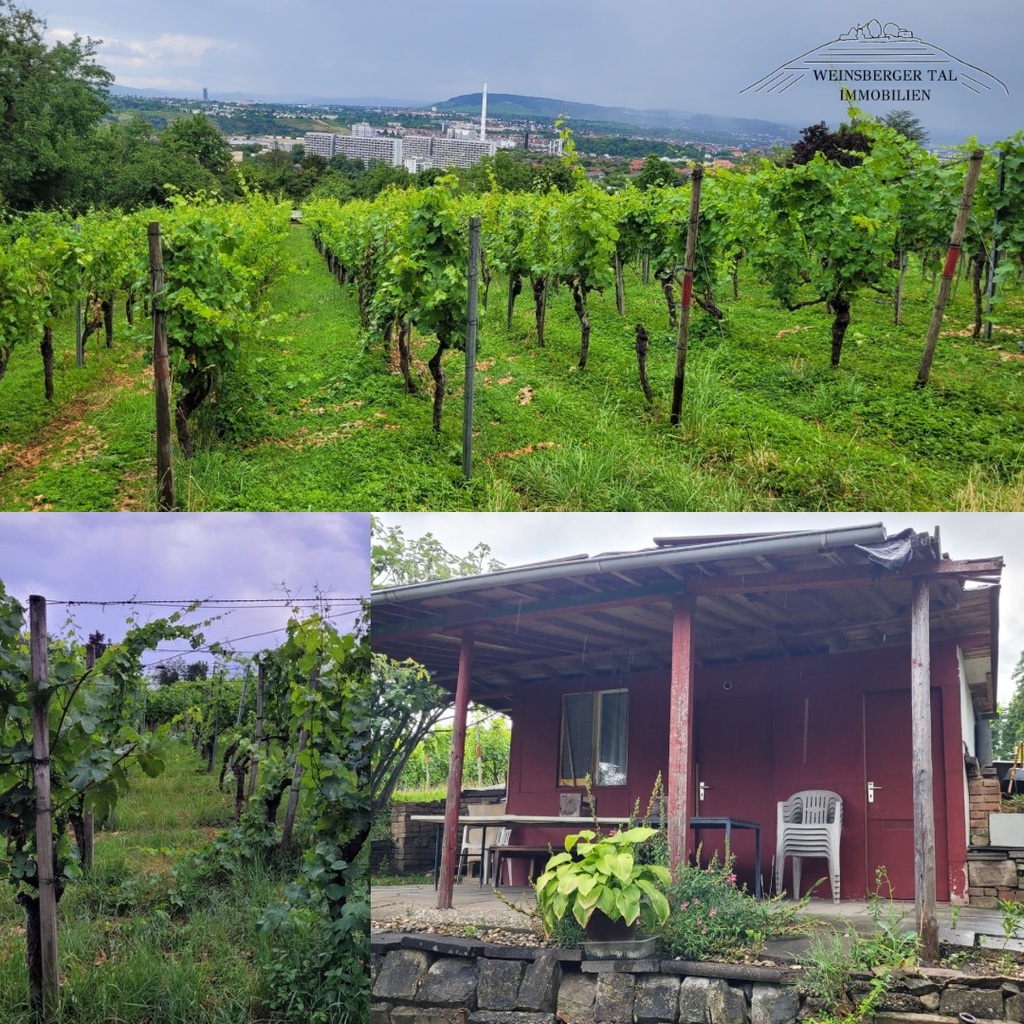 WeinsbergerTal Immobilien