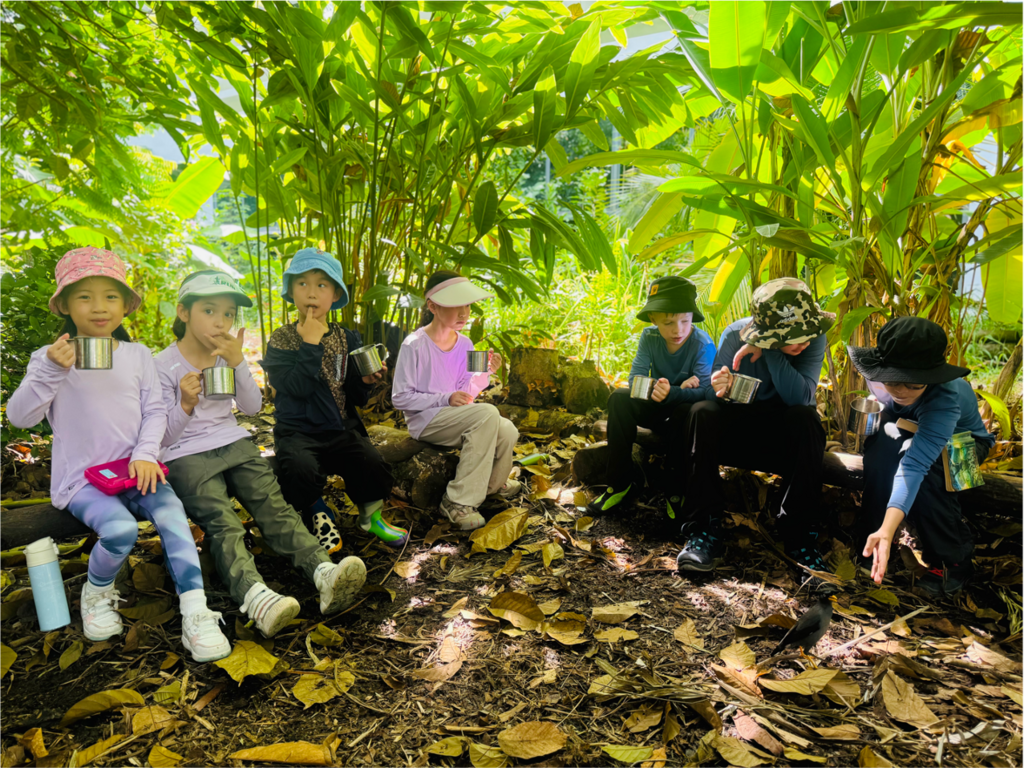 Greenleaf Forest Climbing Tree