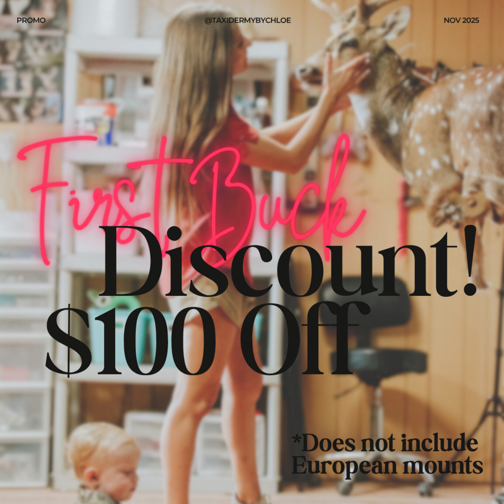 Promo photo of the first buck discount with Chloe working on a mount in the background