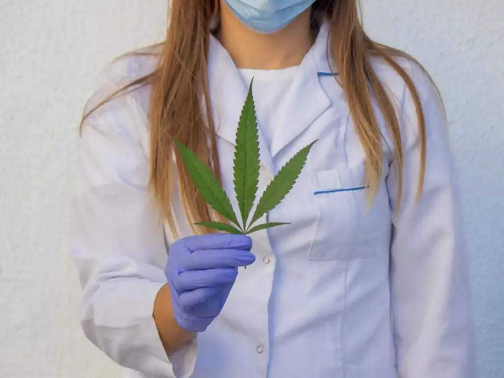 Apothekenmitarbeiterin hält Cannabisblatt in Kamera