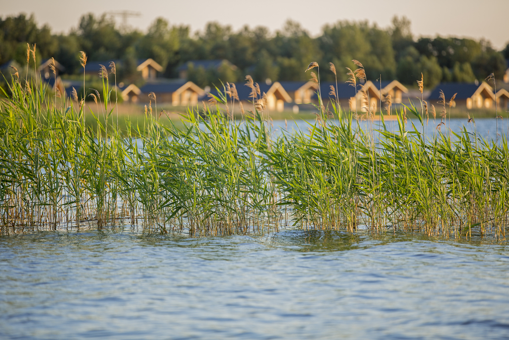 See- und Waldresort Gröbern: Naturparks 