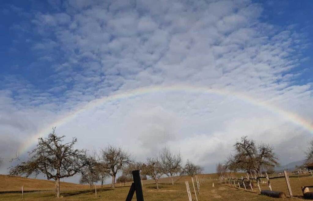 Regenbogen über dem Hof Zum Busch