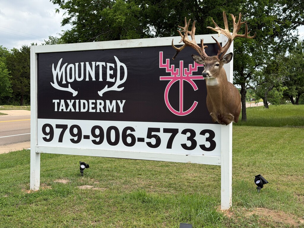 Front facing photo of Mounted Taxidermy building from Highway 6