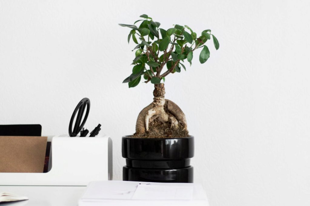 Thrive Learning Academy Mind Body Balance