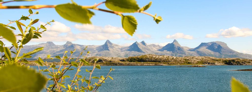 Fjellet de syv søstre i bakgrunnen med  grener med grønne blader i forgrunnen