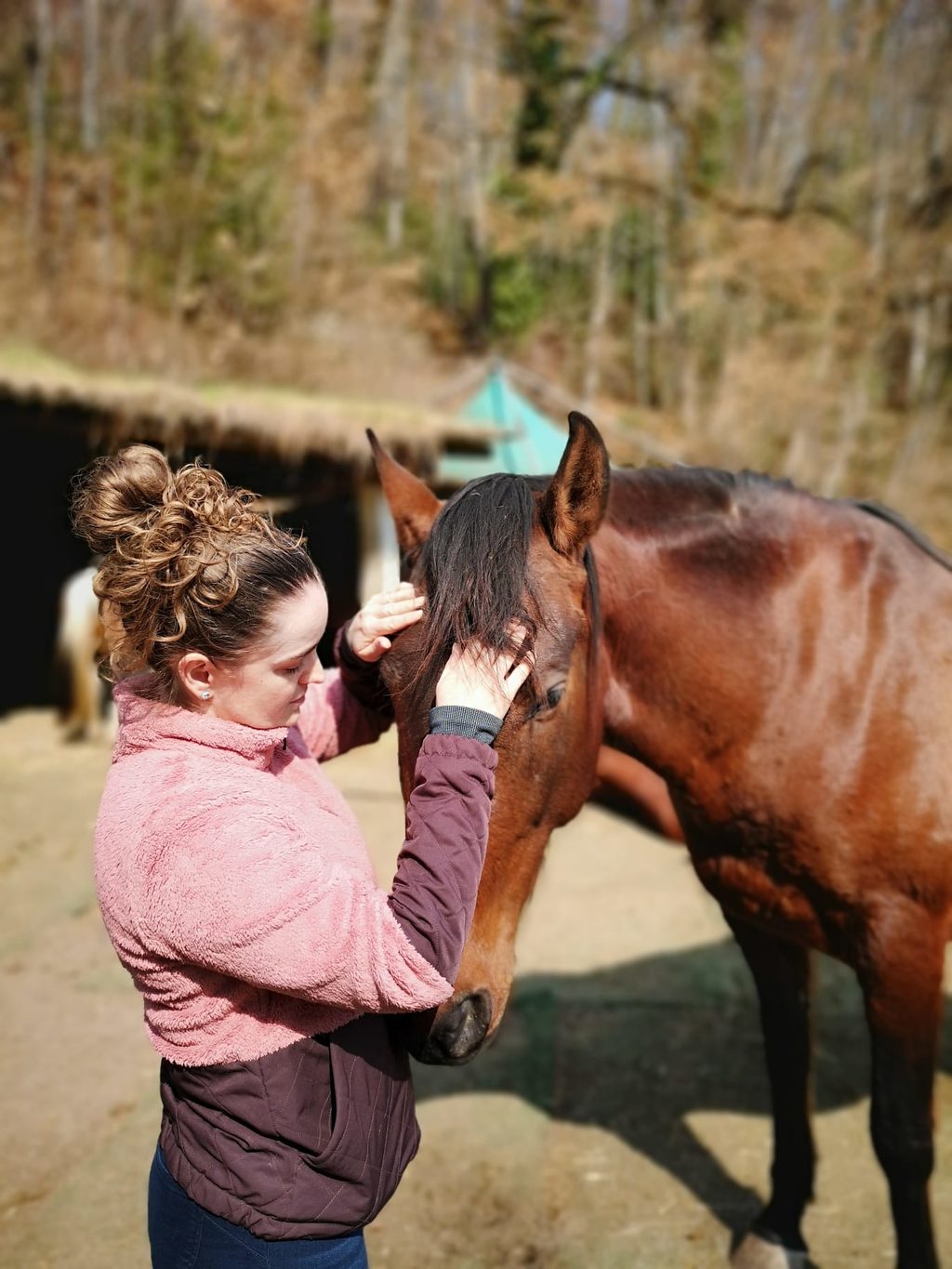 Isabelle Steiner berührt Pferd am Kopf