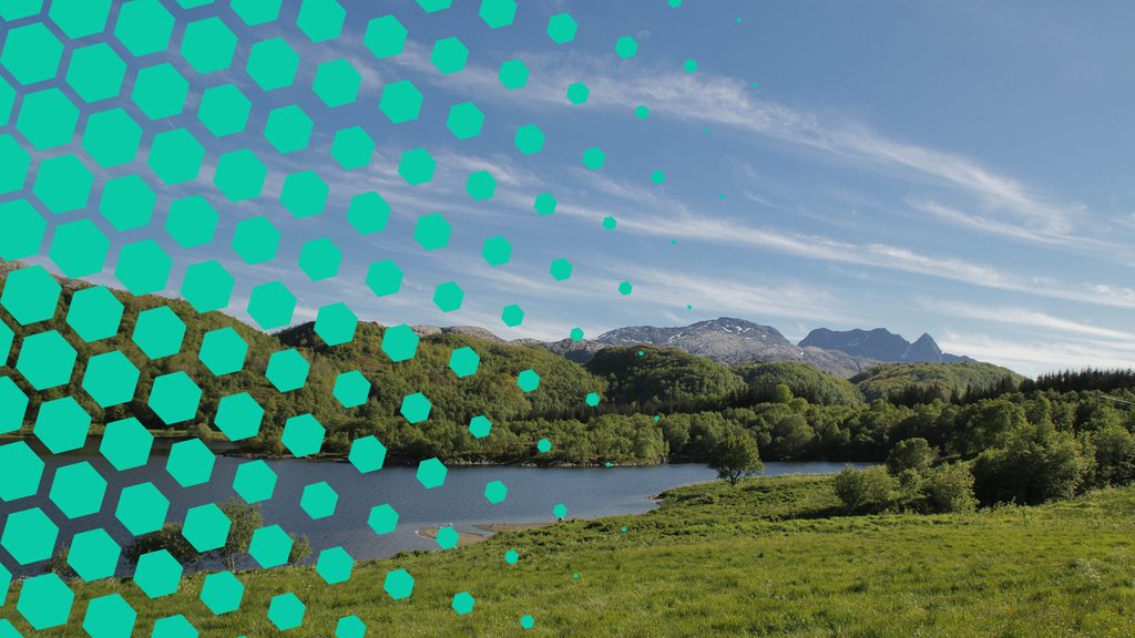 Dønnamannen fra Dønna