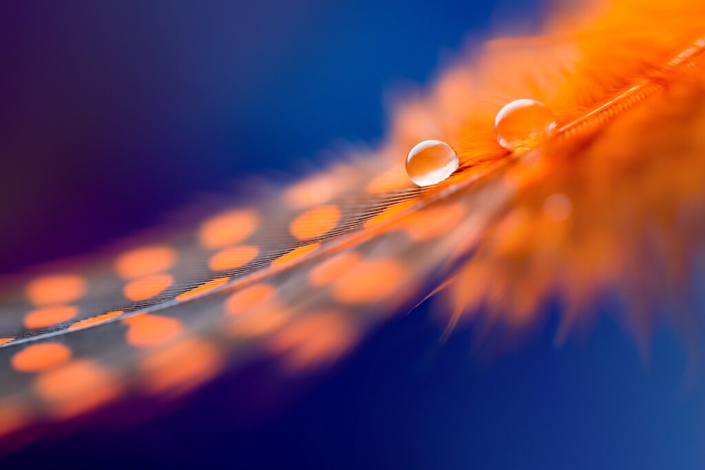 Erfolgsstorys mit Manifestation Coaching