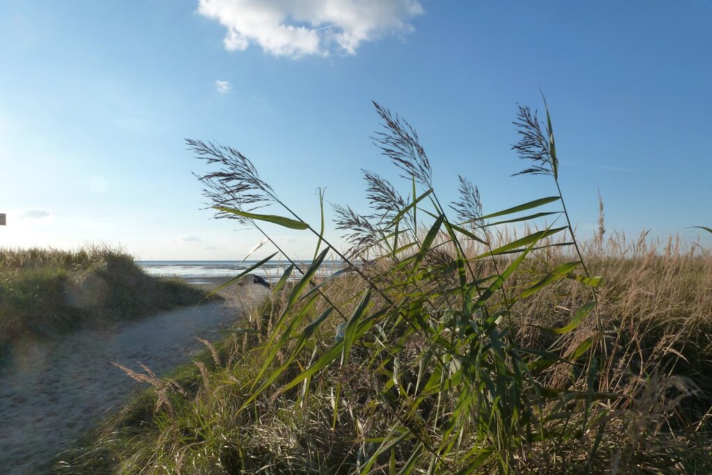 Stella Maris Umgebung