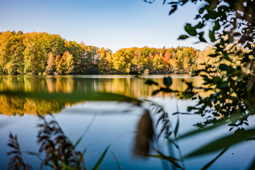 Romantik Hotel Scheelehof Zum Scheele
