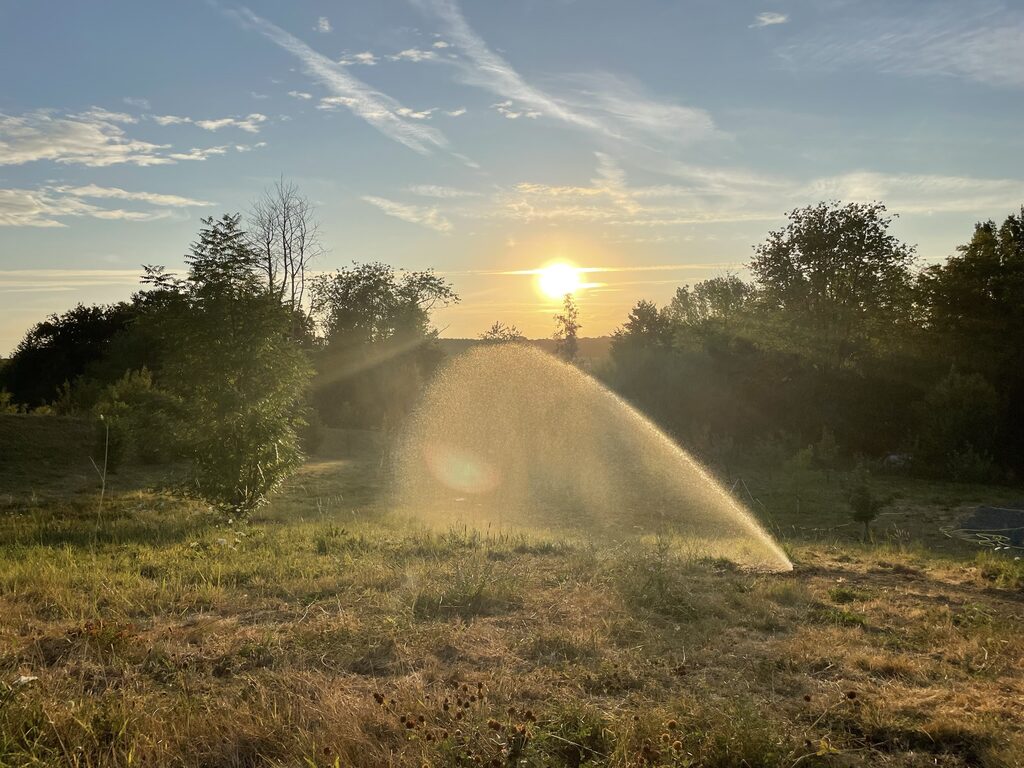 Bewässerung von grosser Fläche
