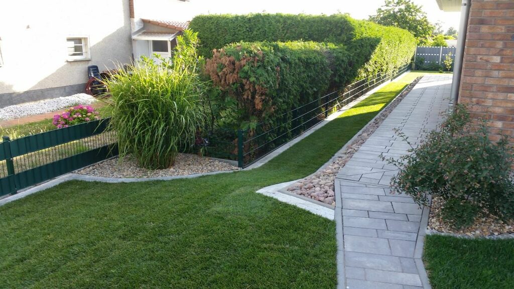 Moderner Garten mit Rasenfläche, einem gerade verlaufenden gepflasterten Weg, dekorativen Kiesstreifen und einer dichten, geschnittenen Hecke entlang des Zauns.