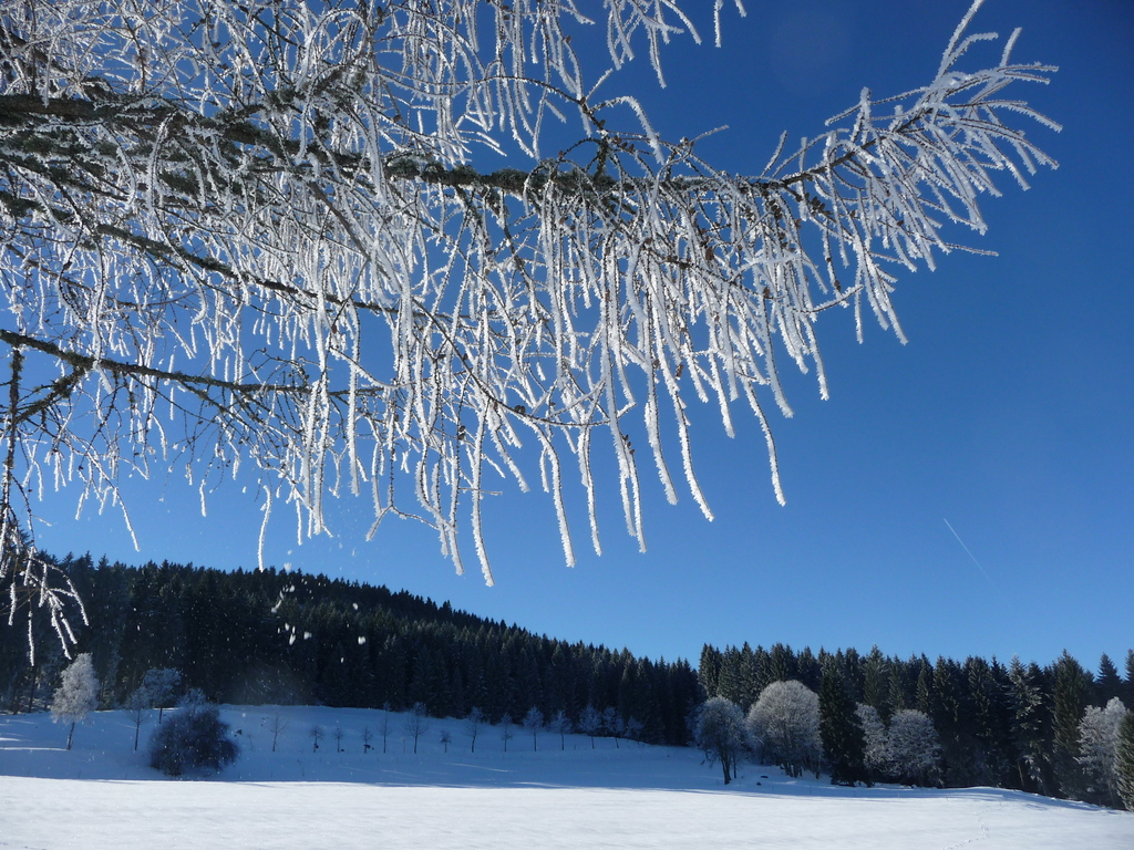 Bio-& Wellnesshotel Alpenblick | Sommer  im Schwarzwald Höchenschwand