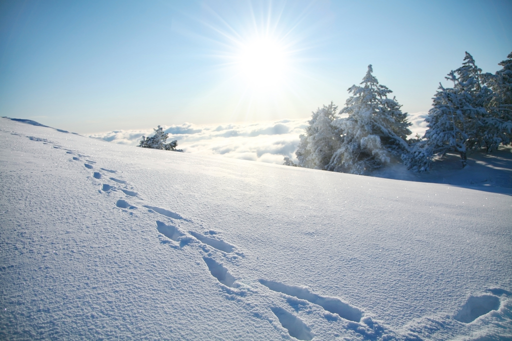 Hotel Bavaria Oberstaufen - Aktiv im Winter