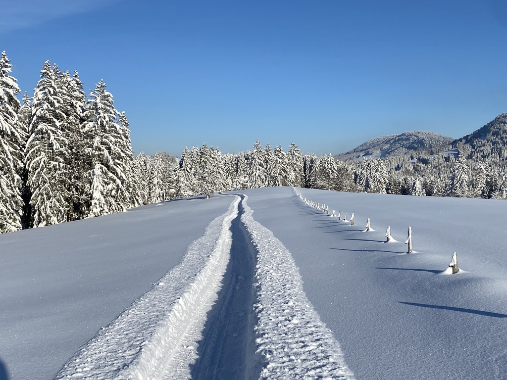 Hotel Bavaria Oberstaufen - Nachhaltigkeit