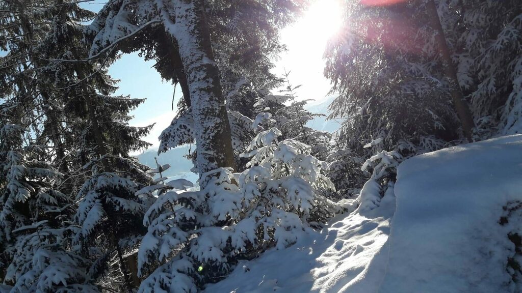 Hotel Bavaria Oberstaufen - Aktiv im Winter
