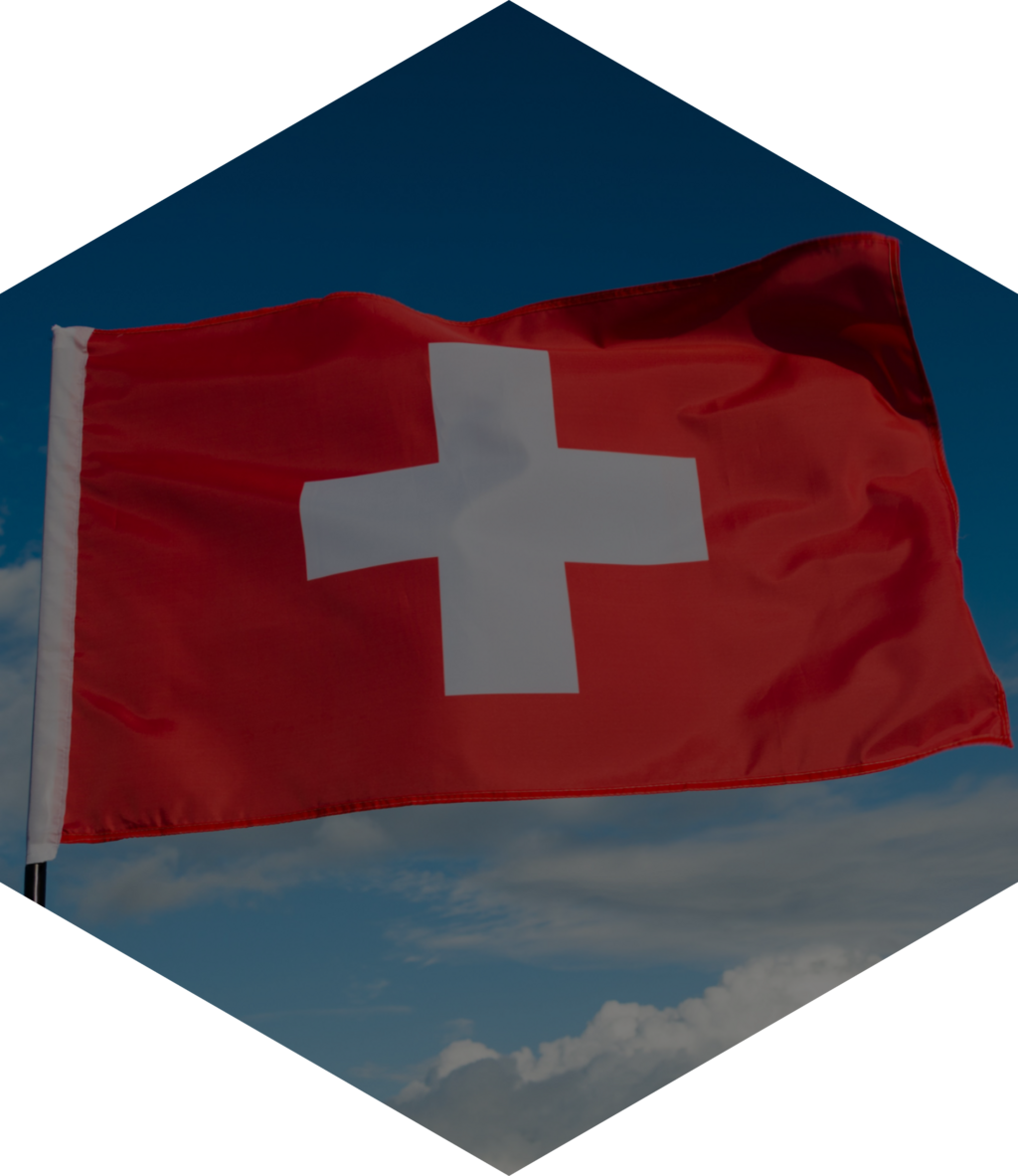 Umzüge Schweiz