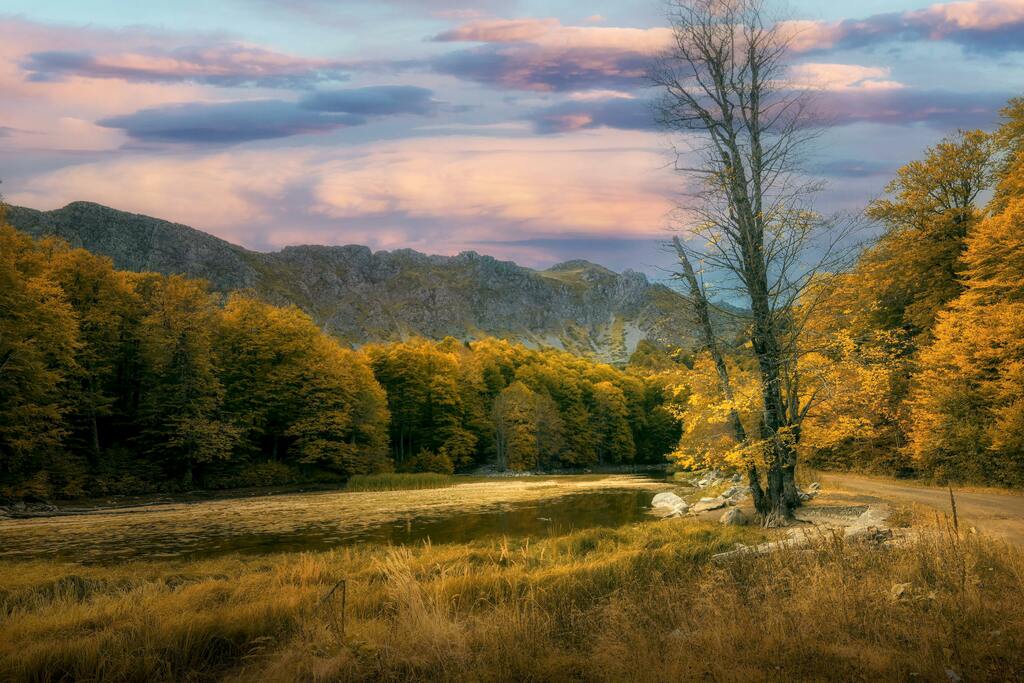 Haus Zauberberg  Umgebung