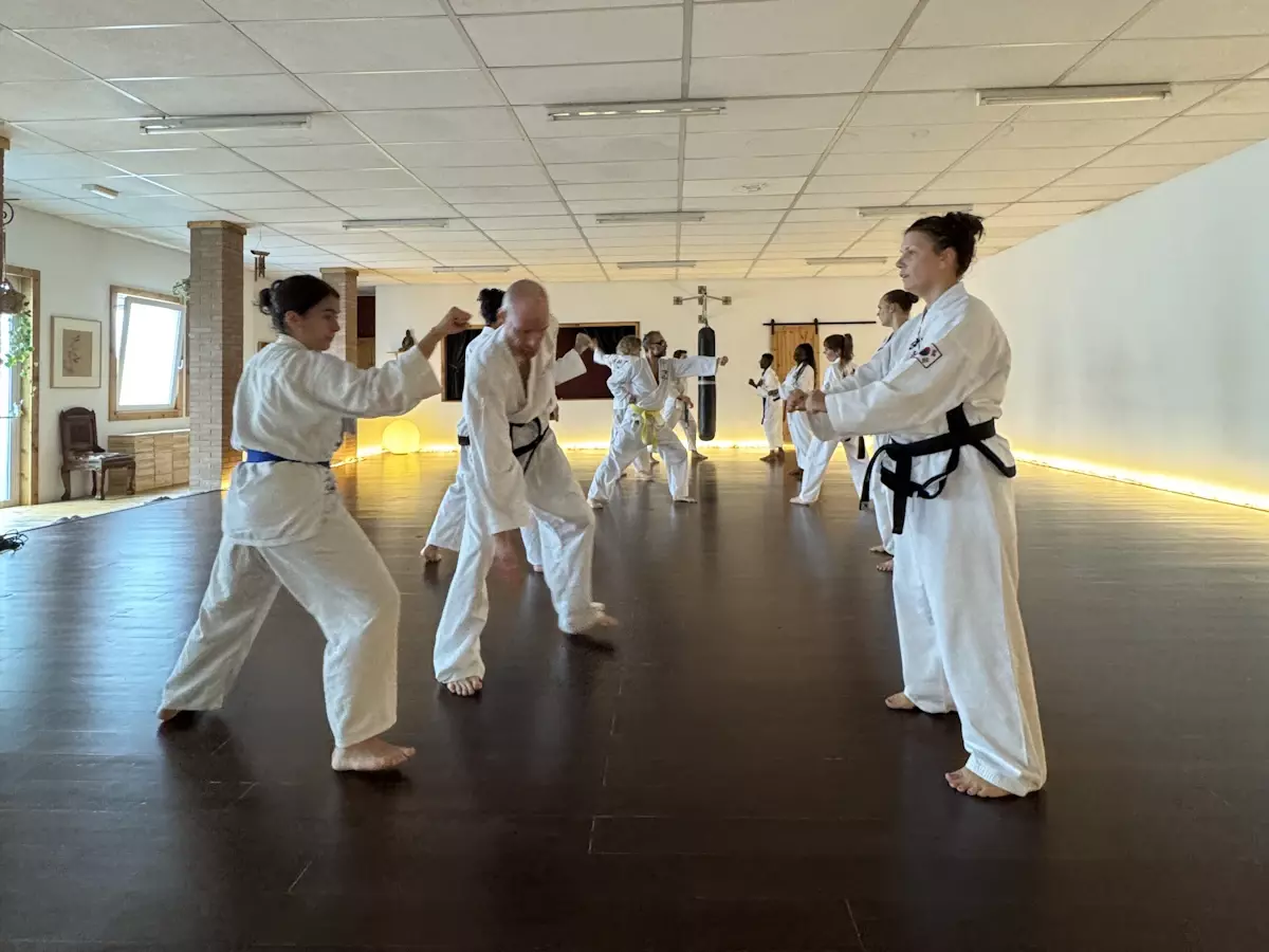 TaeKwonDo Seminar in Udine / Italien