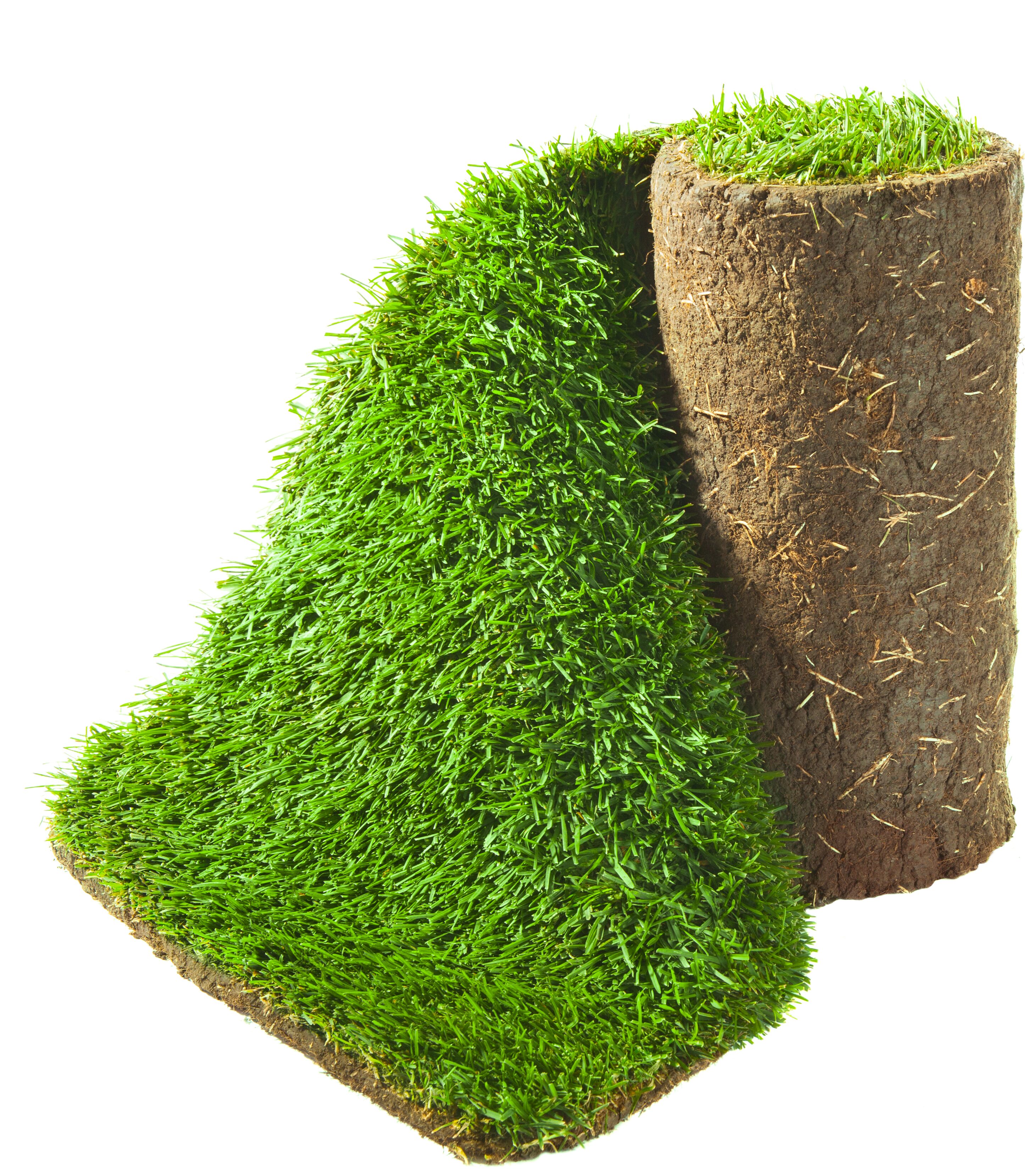 Rollrasen für Berlin und Umland