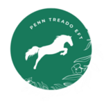 Penn Treado EFT Tapping Practitioner