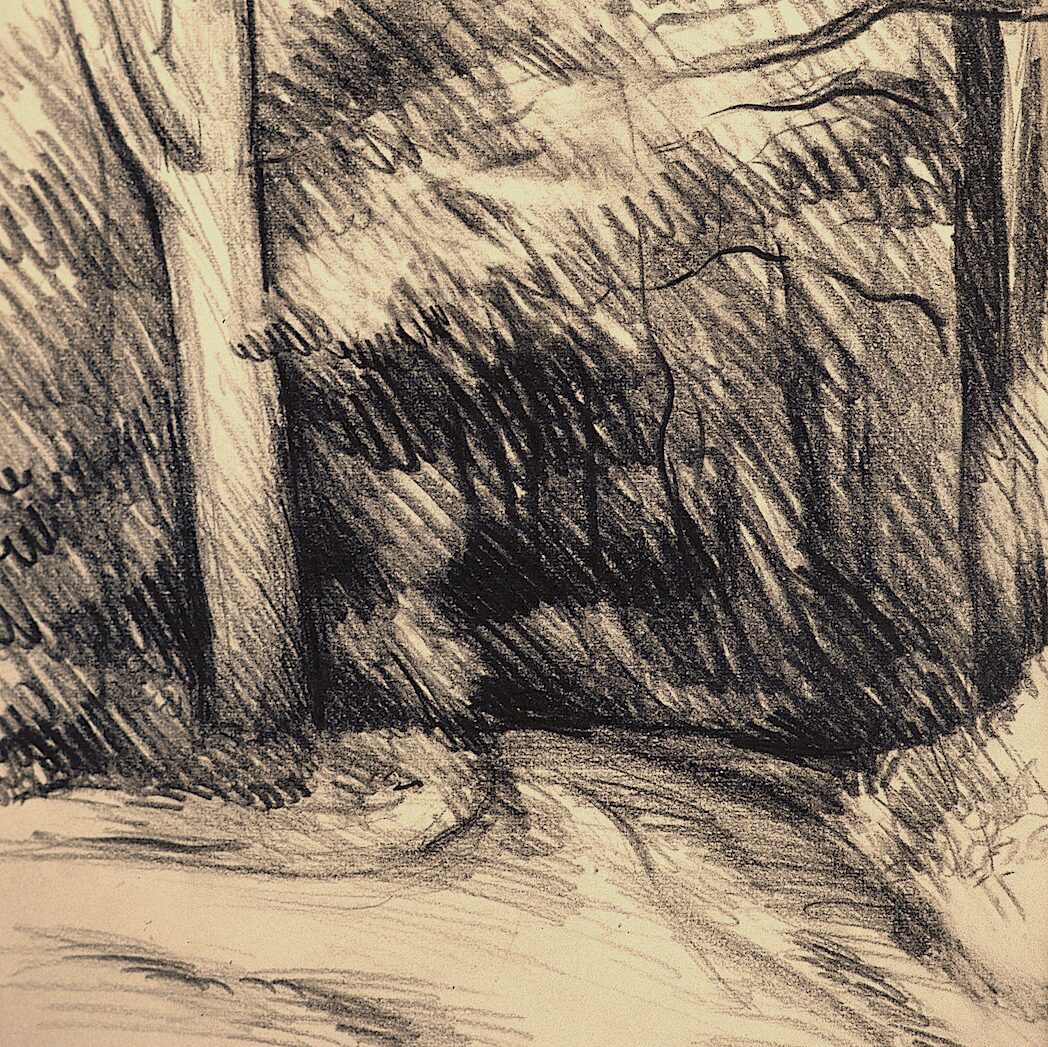 chemin forestier - luxembourg 1986, 32 x 24 cm, crayon graphite sur papier 
