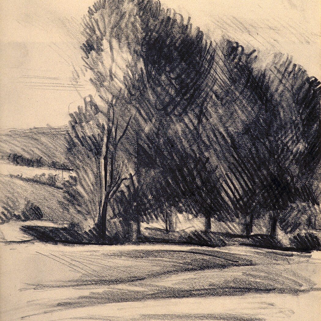 paysage avec peupliers - luxembourg 1986, 32 x 24 cm, crayon graphite sur papier 