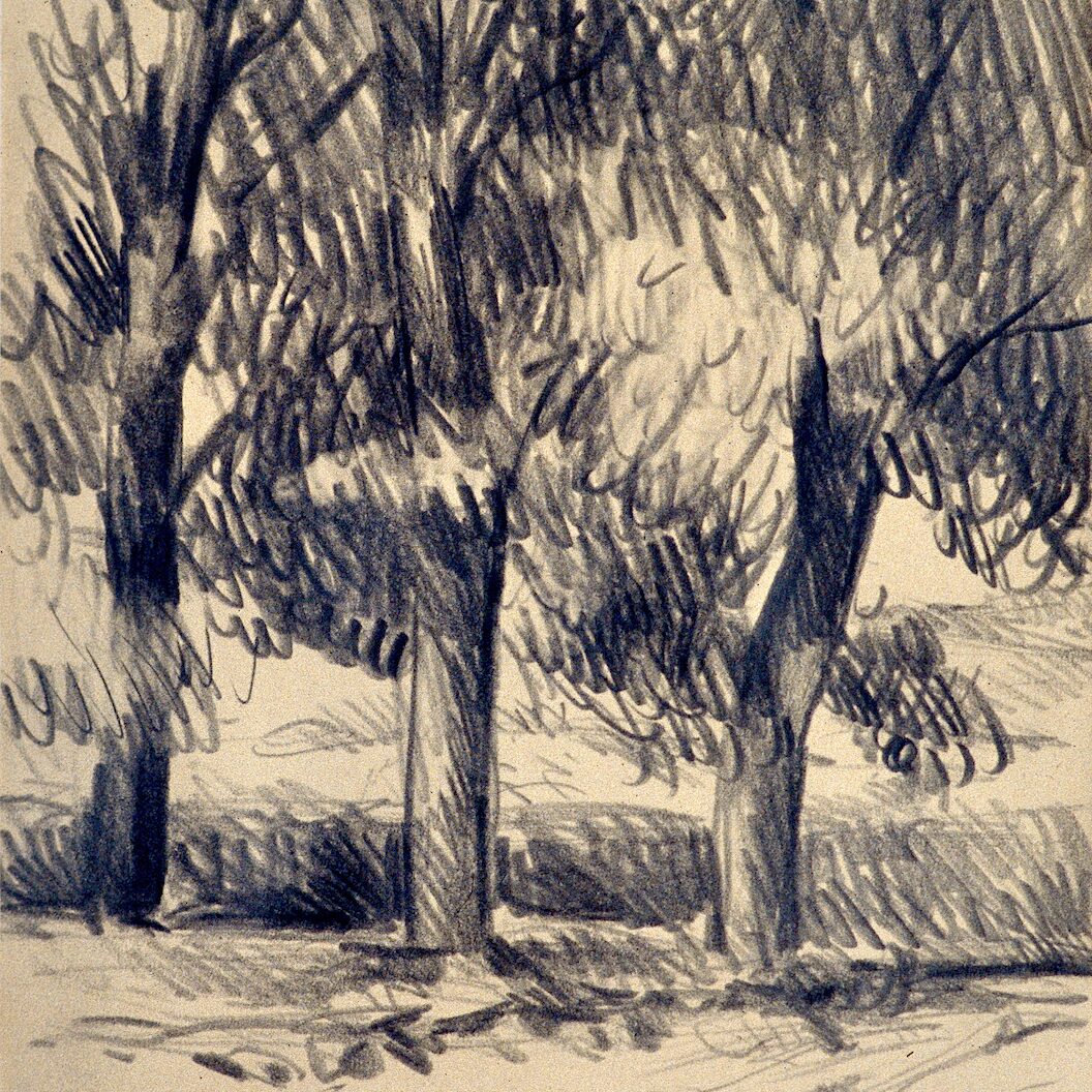 paysage près d'umbertide - ombrie 1988, crayon graphite sur papier 