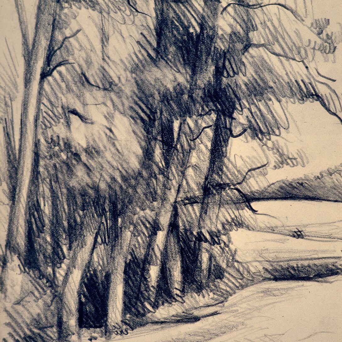 landschaft mit pappeln - luxemburg 1986, 32 x 24 cm, graphit auf papier