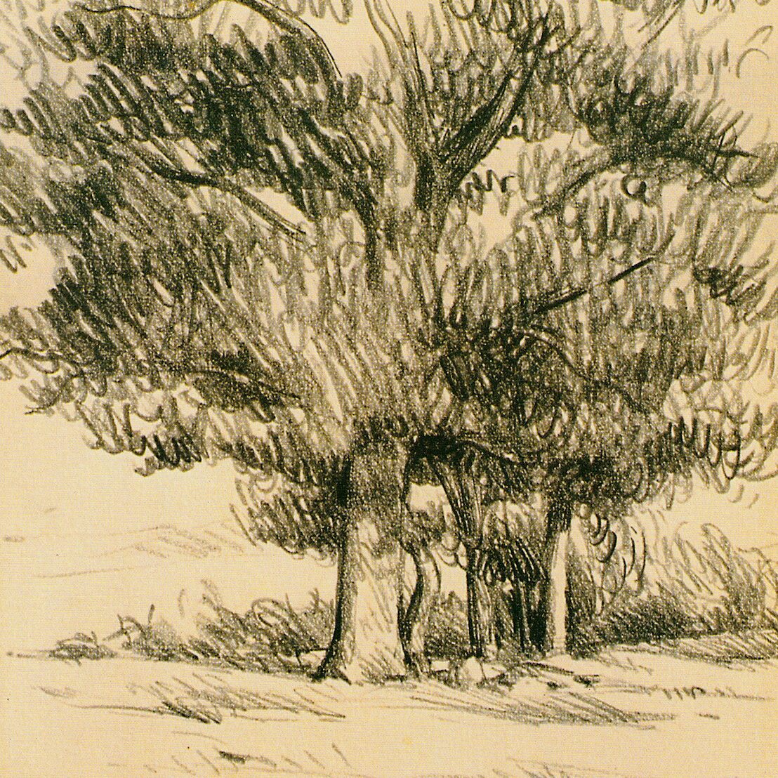 paysage près de preggio - ombrie 1988, crayon graphite sur papier 
