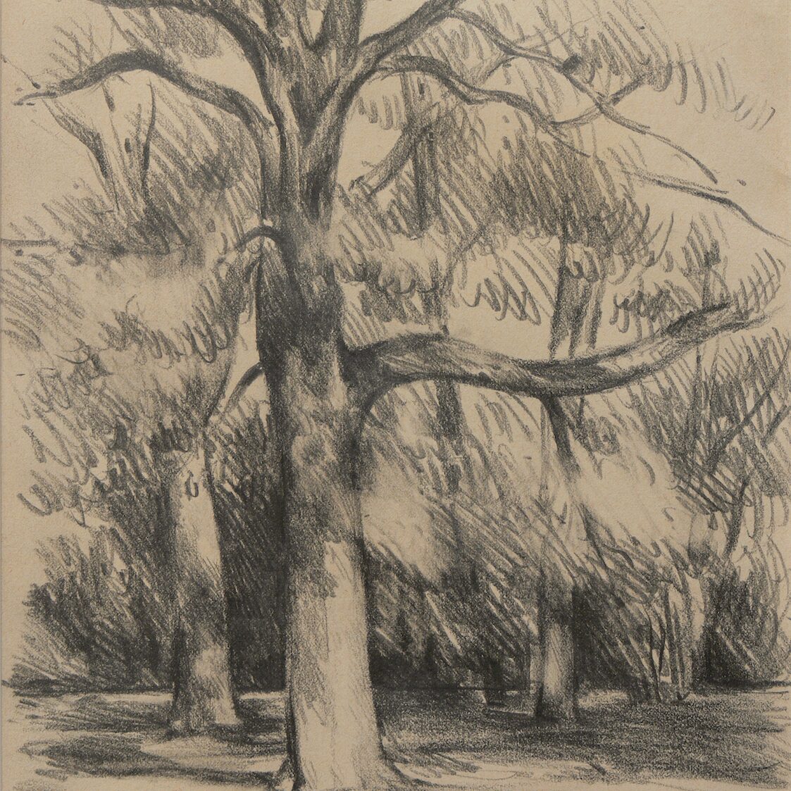 parc de la ville, kaiserslautern - rhénanie-palatinat 1988, 32 x 24 cm, crayon graphite sur papier 