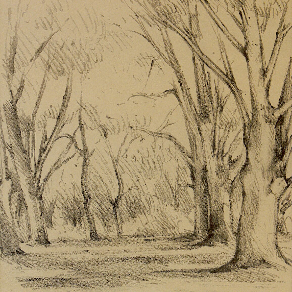 kockelsberg, trêves - rhénanie-palatinat 1988, 32 x 24 cm, crayon graphite sur papier 