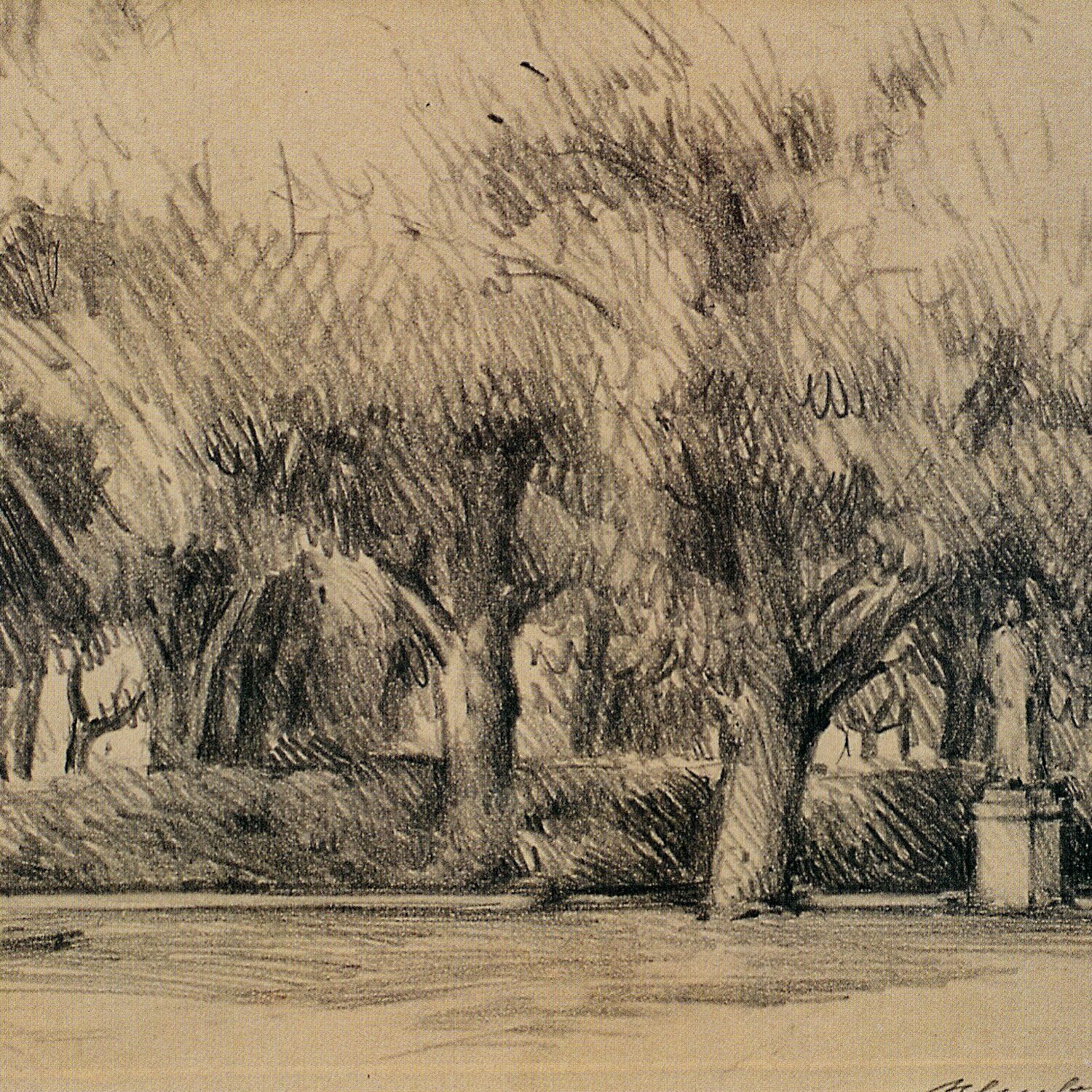 parc, pérouse - ombrie 1988, 24 x 33,5 cm, crayon graphite sur papier 