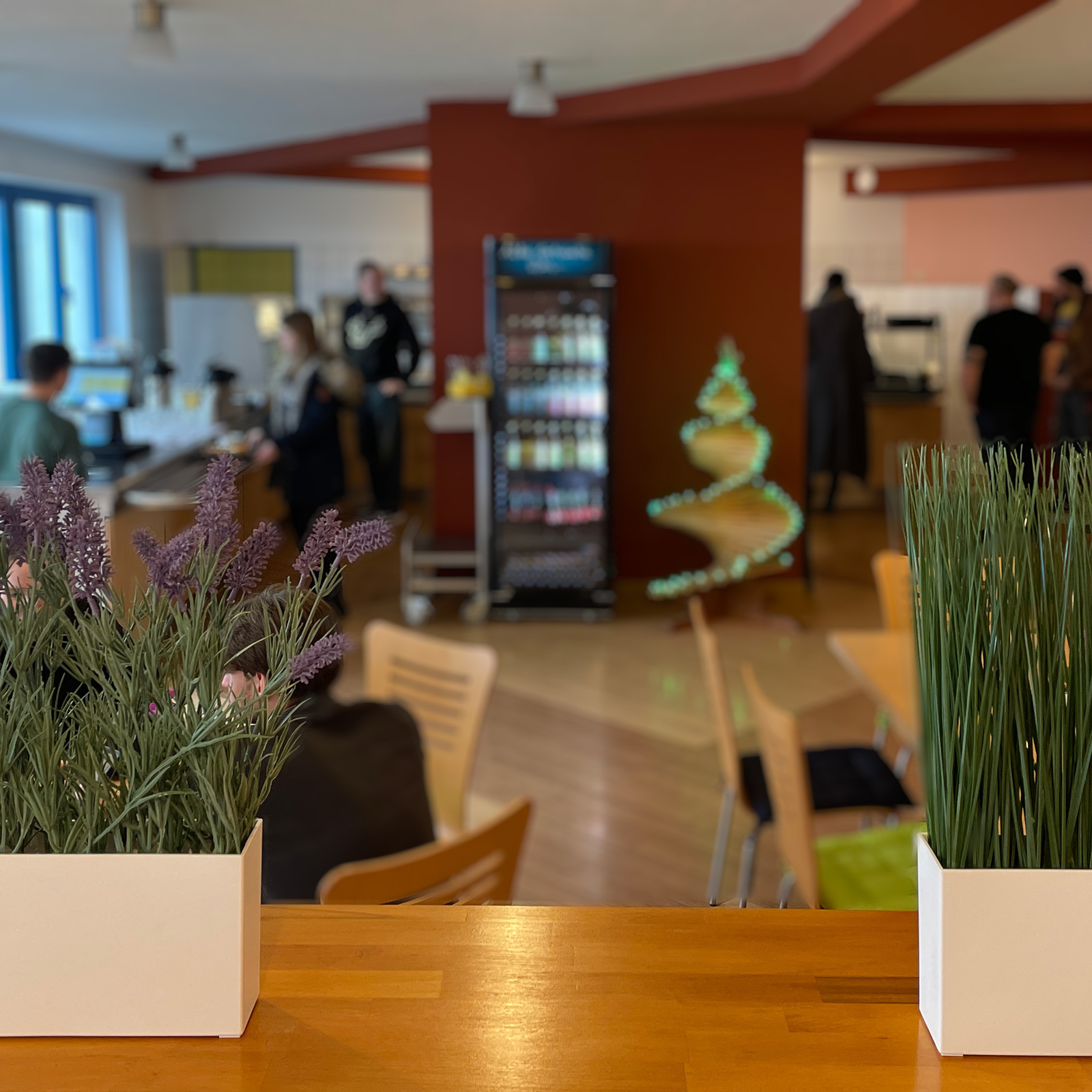 Kantine42 - Dein Mittagessen in Magdeburg