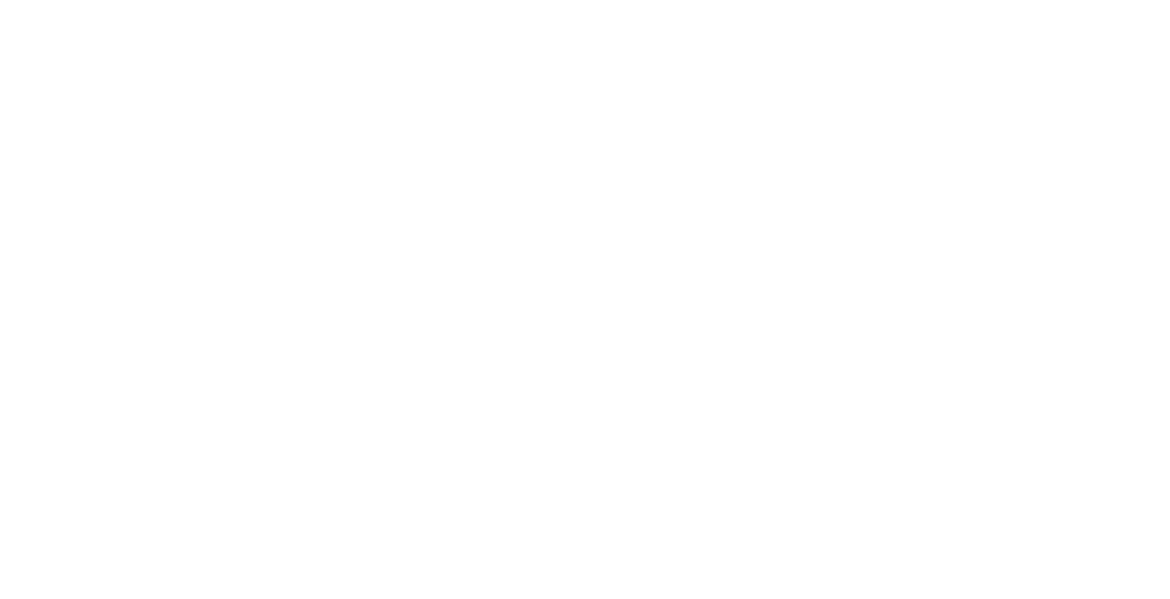 Lightning Drivingservice