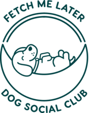 fetchmelater.my