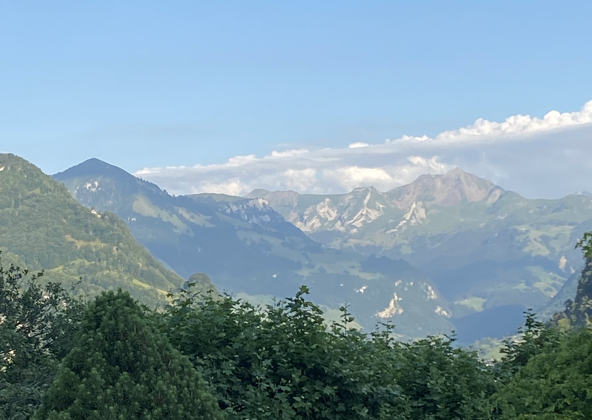 Blumenweg mit Lavendel